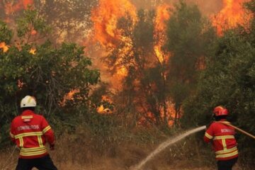 5 días de incendio y más de 2100 hectáreas afectadas en Nuevo León
