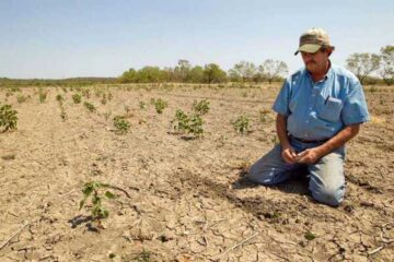 Sequía en México afecta al 85 por ciento del país