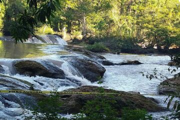 Cae turista al río Agua Azul en Chiapas; la búsqueda sigue activa informan autoridades