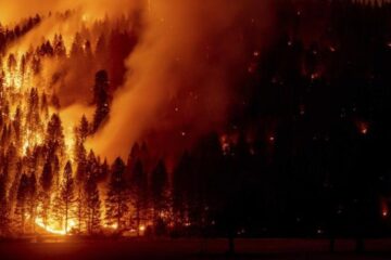Incendio forestal obliga a evacuar inmediaciones del Lago Tahoe, en EU