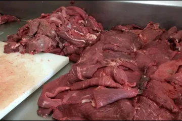¡Escándalo! Cae red clandestina que vendía carne de caballo a restaurantes