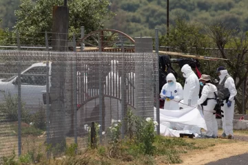Hallan once cuerpos en fosa clandestina ubicada en Las Letras, Michoacán