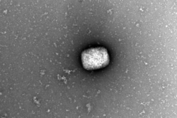 Edomex registra primeros dos casos de viruela del mono