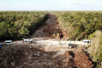 Expertos ONU piden a México que aborde posible impacto negativo del Tren Maya