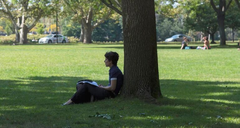 Mujer lee bajo la sombra de un árbol. Foto de EFE