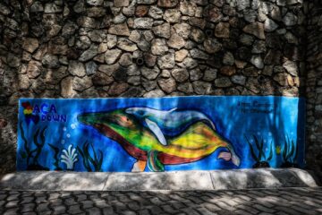 Niños mexicanos con síndrome de Down pintan murales como parte de nueva terapia