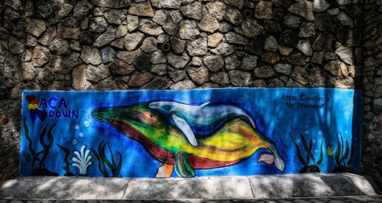 Fotografía de un mural pintado por niños con síndrome de Down durante su develación hoy, dentro del Parque Papagayo en el balneario de Acapulco (México). EFE/David Guzmán