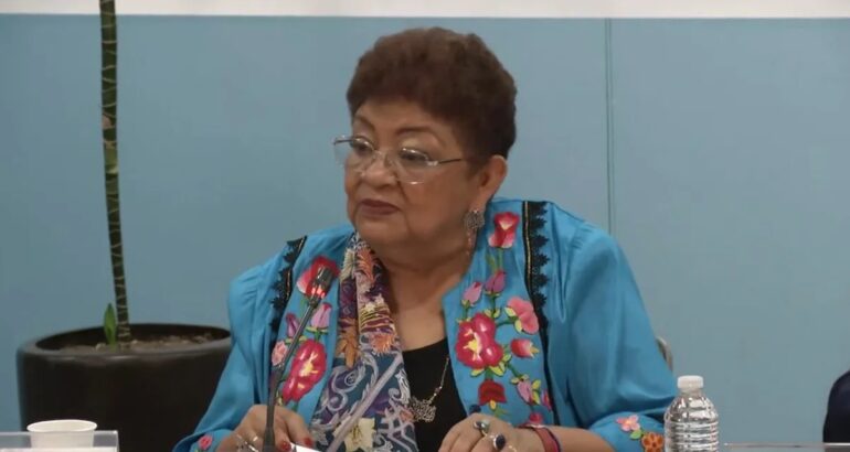 Ernestina Godoy en el Senado de la República. Captura de pantalla