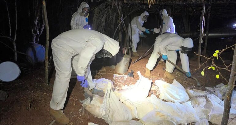 Integrantes de la Marina durante un decomiso de un laboratorio clandestino de drogas sintéticas en Sinaloa. Foto de EFE/Semar