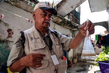 Casos de dengue suben 239 por ciento y las muertes se multiplican por 9