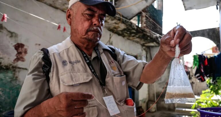 Trabajador de la Secretaría de Salud durante una jornada de prevención de propagación del dengue, en Acapulco. Foto de EFE/ David Guzmán