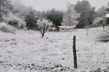 17 años después se registra caída de nieve en Hidalgo.