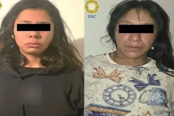 Encuentran media tonelada de marihuana mediante un cateo y detención de dos mujeres en Cuajimalpa.