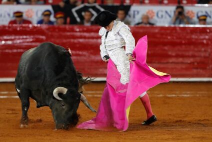 Brugada en contra de la corrida de toros con violencia.