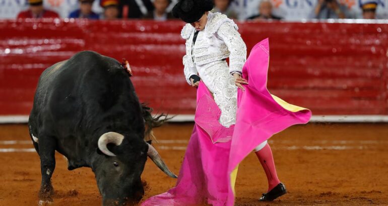 La torera mexicana Palomar San Román lidia al toro 'Azafrán' de 498 kg durante la cuarta corrida en la Plaza de Toros México, en Ciudad de México (México). Archivo. EFE/Mario Guzmán.