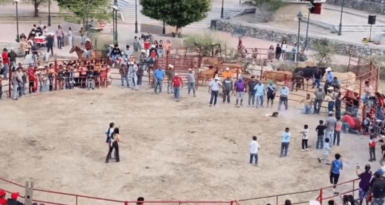 Captura de pantalla del video donde se exhibe el maltrato animal de pobladores de Xichú, Guanajuato. Foto redes sociales