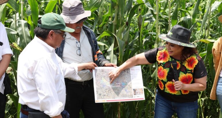 En recorrido por la zona chinampera del pueblo de San Gregorio Atlapulco, alcaldía Xochimilco, la Jefa de Gobierno, señaló que se aplicarán acciones para garantizar el buen manejo del agua y desagües, e impulsar la producción agrícola