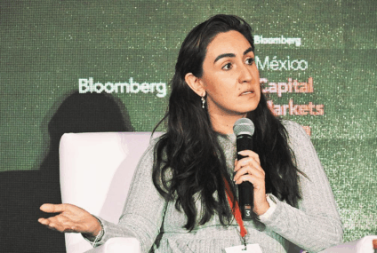 María del Carmen Bonilla sería la segunda mujer en la historia en ocupar la Subsecretaría de Hacienda.