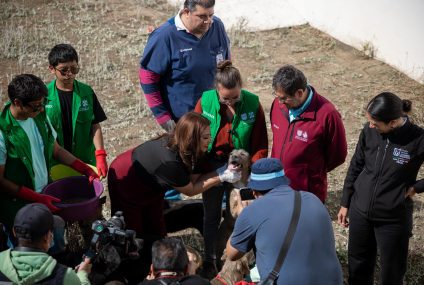 Visita Clara Brugada a 304 perros de los más de 900 animales rescatados del Refugio Franciscano