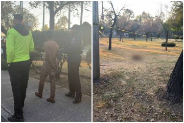 Mata a dos perros en Insurgentes Norte, CDMX