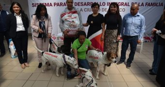 DIF de la Ciudad de México apoyará con alimento a fundaciones de seres sitientes DIF de la Ciudad de México apoyará con alimento a fundaciones de seres sitientes