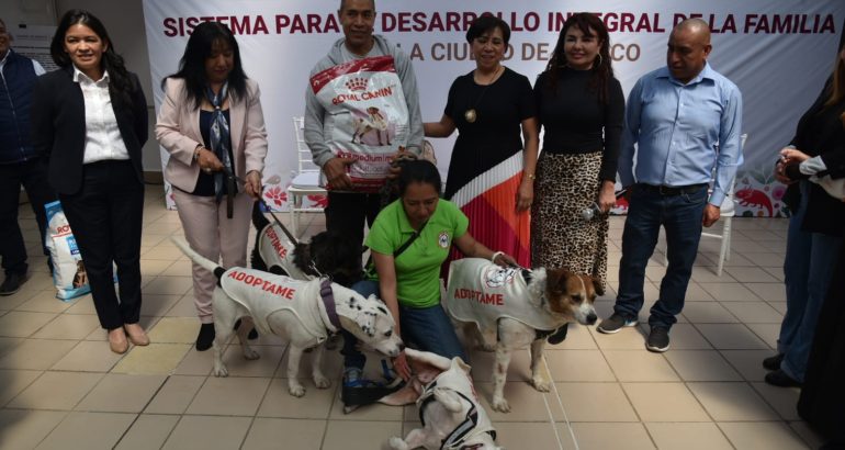 DIF de la Ciudad de México apoyará con alimento a fundaciones de seres sitientes