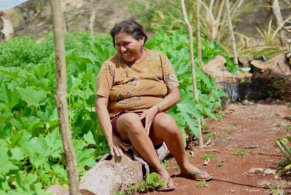 Siembran esperanza y cosechan bienestar para sus familias y el campo yucateco