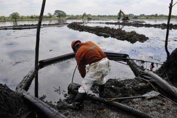 Oceana califica de “insuficiente” gestión de Pemex por derrame de hidrocarburo el Golfo de México.