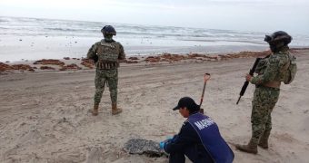 Recolectan 890 toneladas de hidrocarburo en el Golfo de México