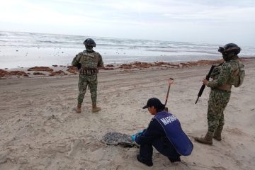 Recolectan 890 toneladas de hidrocarburo en el Golfo de México